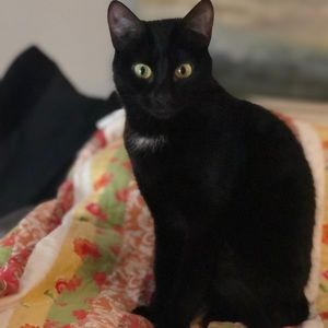 Meet your Posher, Jo